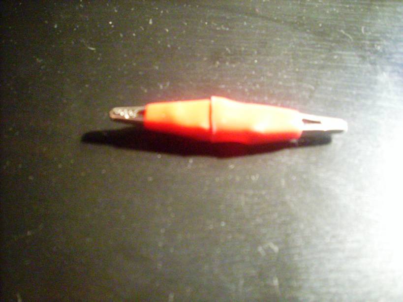 DSCN5196.JPG